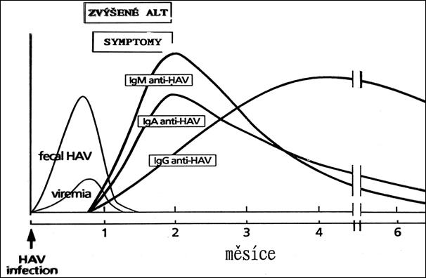 Obr?zek1